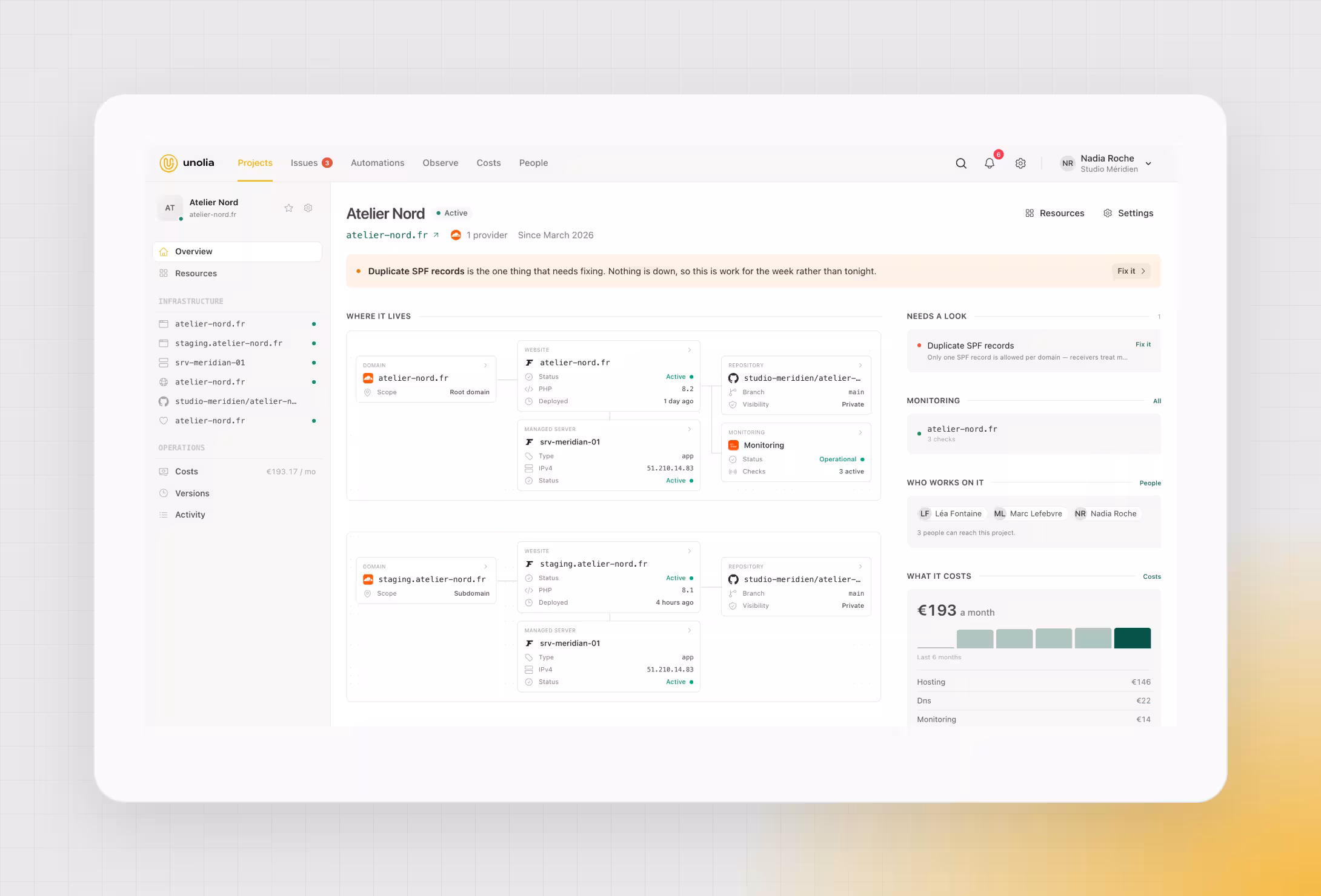 Each client project shows its domains, websites, servers, repositories, monitors, team and monthly cost on one page.